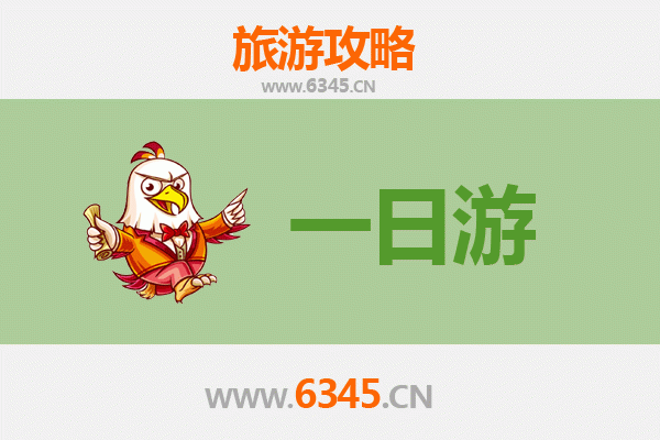 巴音郭楞轮台自驾一日游攻略：穿越沙漠与胡杨的绝美之旅