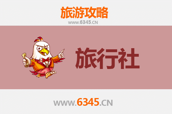 巴音郭楞轮台旅行社推荐：探秘塔里木与胡杨林的完美向导