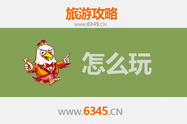 节假日探秘巴音郭楞轮台：胡杨林与大漠风情的完美之旅